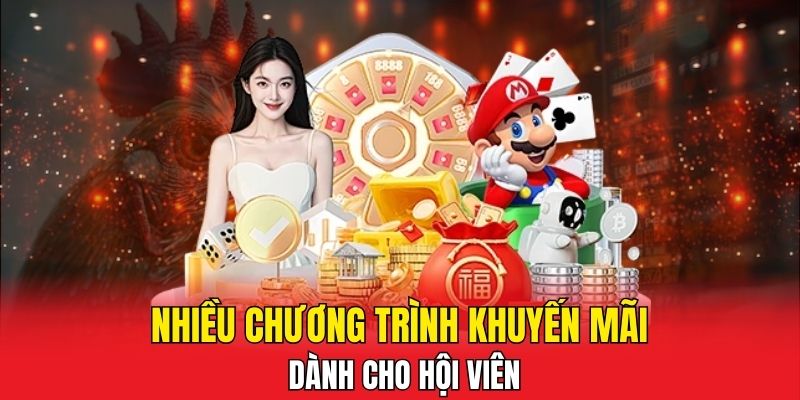 Nhiều chương trình khuyến mãi dành cho hội viên