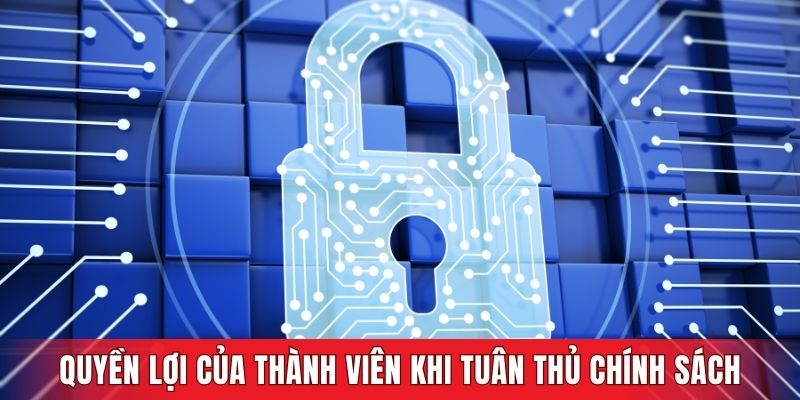 Quyền lợi của thành viên khi tuân thủ chính sách