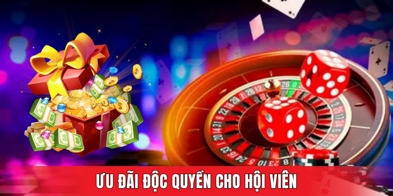 Ưu đãi độc quyền cho hội viên